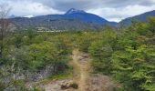 Randonnée Marche Cochrane - Confluencia ríos Baker y Neff - Photo 10