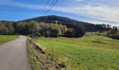 Excursión Bici eléctrica Vieux-Moulin - Vieux-Moulin- Saales- Ban de Sapt - Vieux Moulin - Photo 2