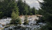 Randonnée Marche Houffalize - les colas - Photo 6
