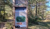 Randonnée Marche Nans-les-Pins - 