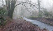 Trail Walking Elven - PR_56_Elven_BA_02_Circuit1b_De-Kerbiler_20231217 - Photo 5