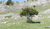 Excursión Senderismo Châtillon-en-Diois - Combau-TêteChevalière 05-05-2018 - Photo 12