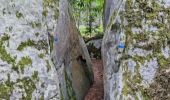 Tocht Stappen Fontainebleau - Fontainebleau sentier Denecourt 7-8 8-8 - Photo 20