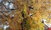 Percorso A piedi Göppingen - Faurndau - Schloss Filseck - Charlottenseeblaue Raute - Photo 2