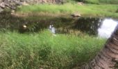 Trail Trail Sainte-Anne - Saint Anne  - Photo 1