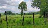 Trail Walking Theux - autour du Maquisart - Photo 20