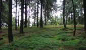 Tour Zu Fuß Willebadessen - Rundwanderweg Borlinghausen A1 (Willebadessen: Schloss Borlinghausen) - Photo 5