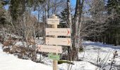 Percorso Racchette da neve Lamoura - Lamoura 14km D+ 493 20210228 - Photo 3