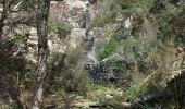 Excursión Senderismo Collobrières - la chartreuse de la Verne par les vasques de Boulin - Photo 10