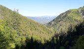 Trail Walking Seyne - SEYNES LES ALPES . Grand puy , montagne de la Blache , cabane du Mulet o l s - Photo 8