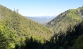 Tour Wandern Seyne - SEYNES LES ALPES . Grand puy , montagne de la Blache , cabane du Mulet o l s - Photo 8