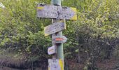 Tocht Stappen Caussou - Le col de Marmare - Photo 2