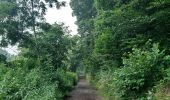 Trail Walking Esneux - tilf . ferme de femelette.  roche aux faucons.  avister. tilf  - Photo 6