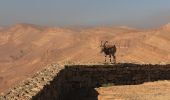 Randonnée A pied Mitzpe Ramon - IL-18202 - Photo 2