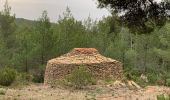 Tour Wandern Évenos - La loisianne pins et tamaris Fred - Photo 12