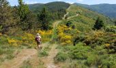 Trail Walking Alzon - vers le St guiral puis le rocher de l'aigle - Photo 11