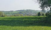 Randonnée Marche Ferrières - rando sy 3-05-2022 - Photo 14