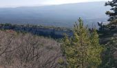 Tocht Stappen Bédoin - Beboin la combe de Curnier - Photo 13