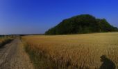 Tocht Mountainbike Thuin - Erquelinnes_20220828_081544 - Photo 4