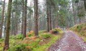 Trail Walking Viroinval - Le Trou du Diable à Oignies en Thiérache - Photo 5