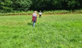 Tocht Stappen Paliseul - Boucle par la grotte de Nollevaux  - Photo 7