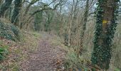 Tour Wandern Brétigny-sur-Orge - Brétigny-sur-Orge - Parcs Bassins Basilique Châteaux - Photo 15