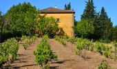 Trail Walking Brignoles - Brignoles - Rocher du Gueit - Chapelle St Sébastien - Photo 11