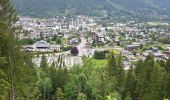 Randonnée Marche Chamonix-Mont-Blanc - Chamonix départ parking du Biolay derrière cimetière  - Photo 17