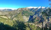 Trail Walking La Robine-sur-Galabre - 20191209_Passerelle Bès_Lame Facibelle_Belvédère Pas d'oiseaux  - Photo 4