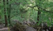 Randonnée Marche Lentilly - sentier bois des tannerie Lentilly - Photo 10