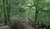 Tocht Stappen Lentilly - sentier bois des tannerie Lentilly - Photo 10