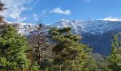 Excursión Senderismo Le Lauzet-Ubaye - morgonnet - Photo 8