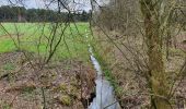 Tocht Te voet Neuenkirchen - Lilande Nordic-Walking-Strecke - Photo 3