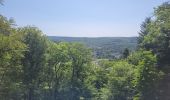 Tocht Stappen Bouillon - rando botassart 24-05-2023 - Photo 4