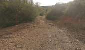 Trail Walking Palasca - Recos sur route vers plage  - Photo 2