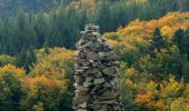 Trail Walking Sainte-Eulalie - SityTrail - 435359 - gerbier-de-jonc-x-le-pradal - Photo 3