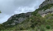 Trail Walking Seynes - Le tour du Mont Bouquet - Photo 2