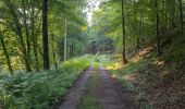 Trail On foot Barntrup - Hasenweg - Photo 7