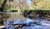 Tocht Stappen Chimay - Promenade de l’eau blanche  - Photo 8