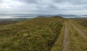 Tocht Stappen West Cork - Hungry Hill - Photo 5