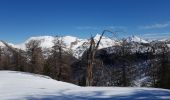 Randonnée Raquettes à neige Colmars - LAUPON 23.02.19 - Photo 11