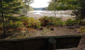 Excursión Senderismo Badonviller - Tour du lac de Pierre-Percée depuis les cabanes du lac - Photo 1