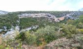 Tour Wandern Monieux - Gorges de la Nesque - Photo 12