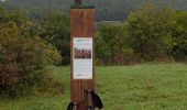 Excursión Senderismo Dorlisheim - rando Dorlisheim 2 - Photo 10