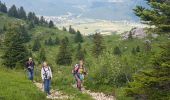 Tocht Stappen Lans-en-Vercors - Pic st Michel - Photo 17