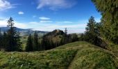 Trail On foot Guggisberg - Guggershorn - Laubbach - Photo 4