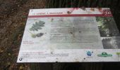 Trail Walking Orival - 20241008-les essarts - Photo 1
