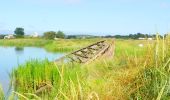 Tocht Stappen Mornac-sur-Seudre - 17  Plordonnier  7km300 - Photo 1