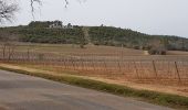 Percorso Marcia Les Arcs-sur-Argens - LES ARCS - DE SAINTE ROSELINE A VALBOURGES - Photo 12