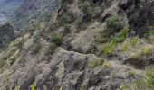 Tocht Stappen La Possession - Cayenne  la Roche Plate  - Photo 3